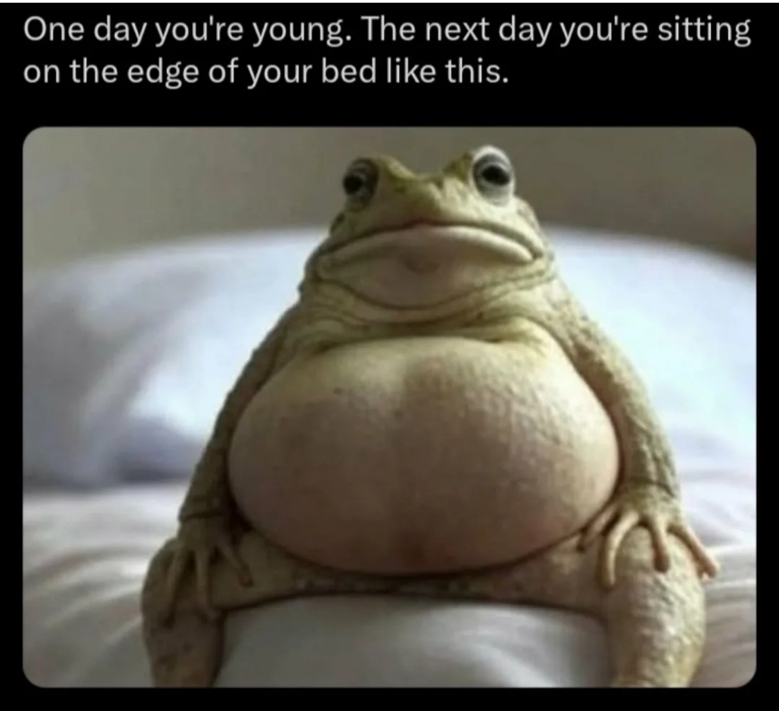 Funny pics and memes (17)