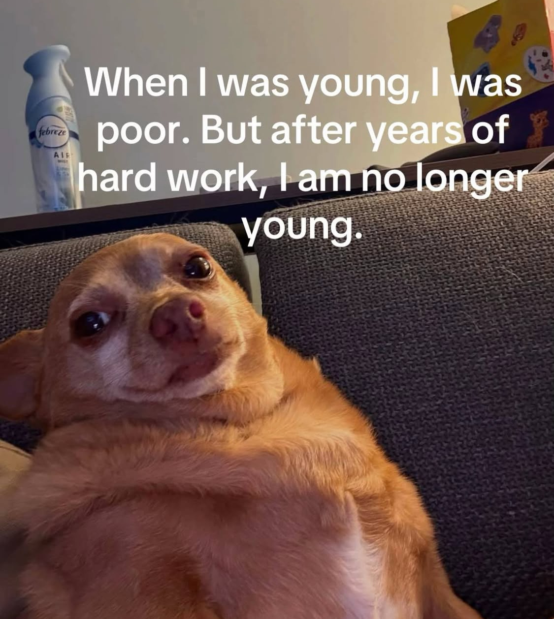 Funny pics and memes (17)