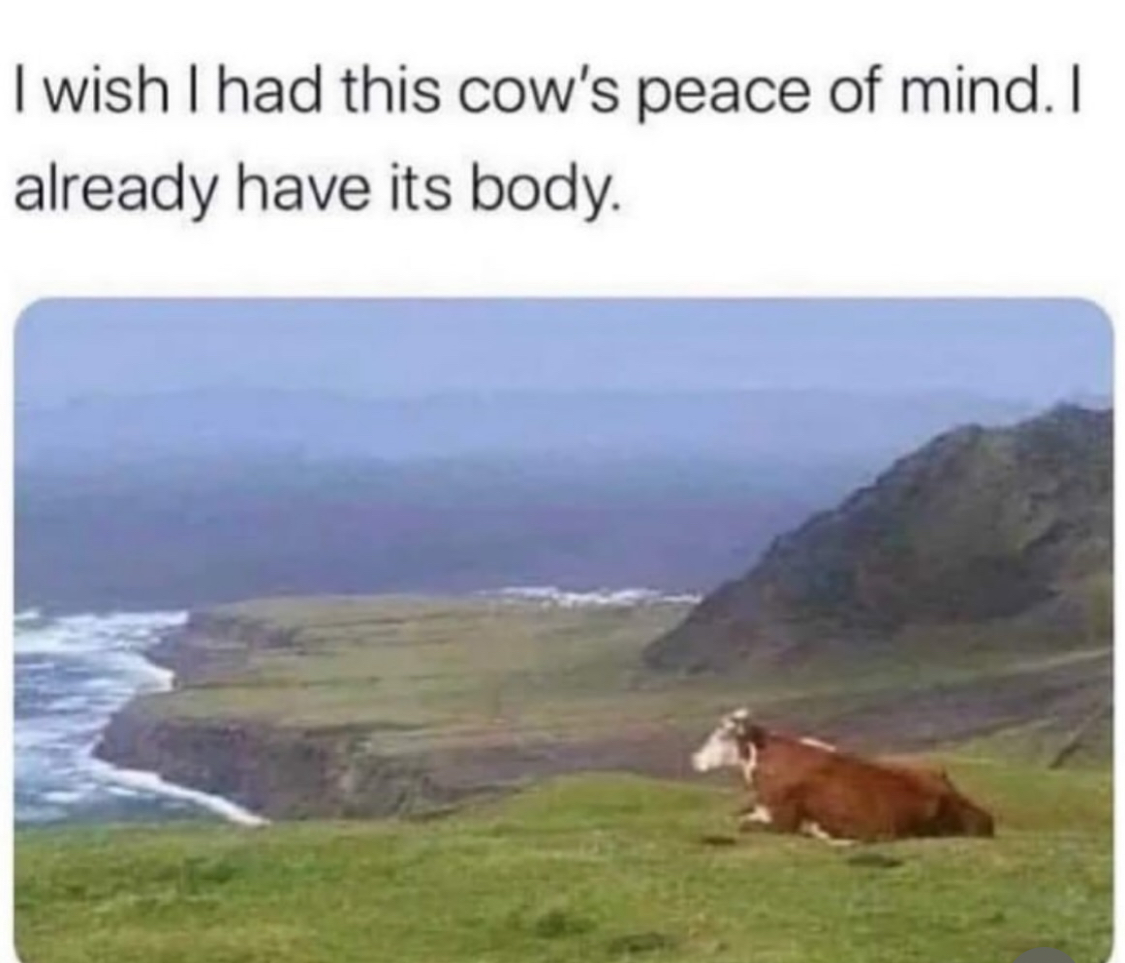 Funny pics and memes (17)