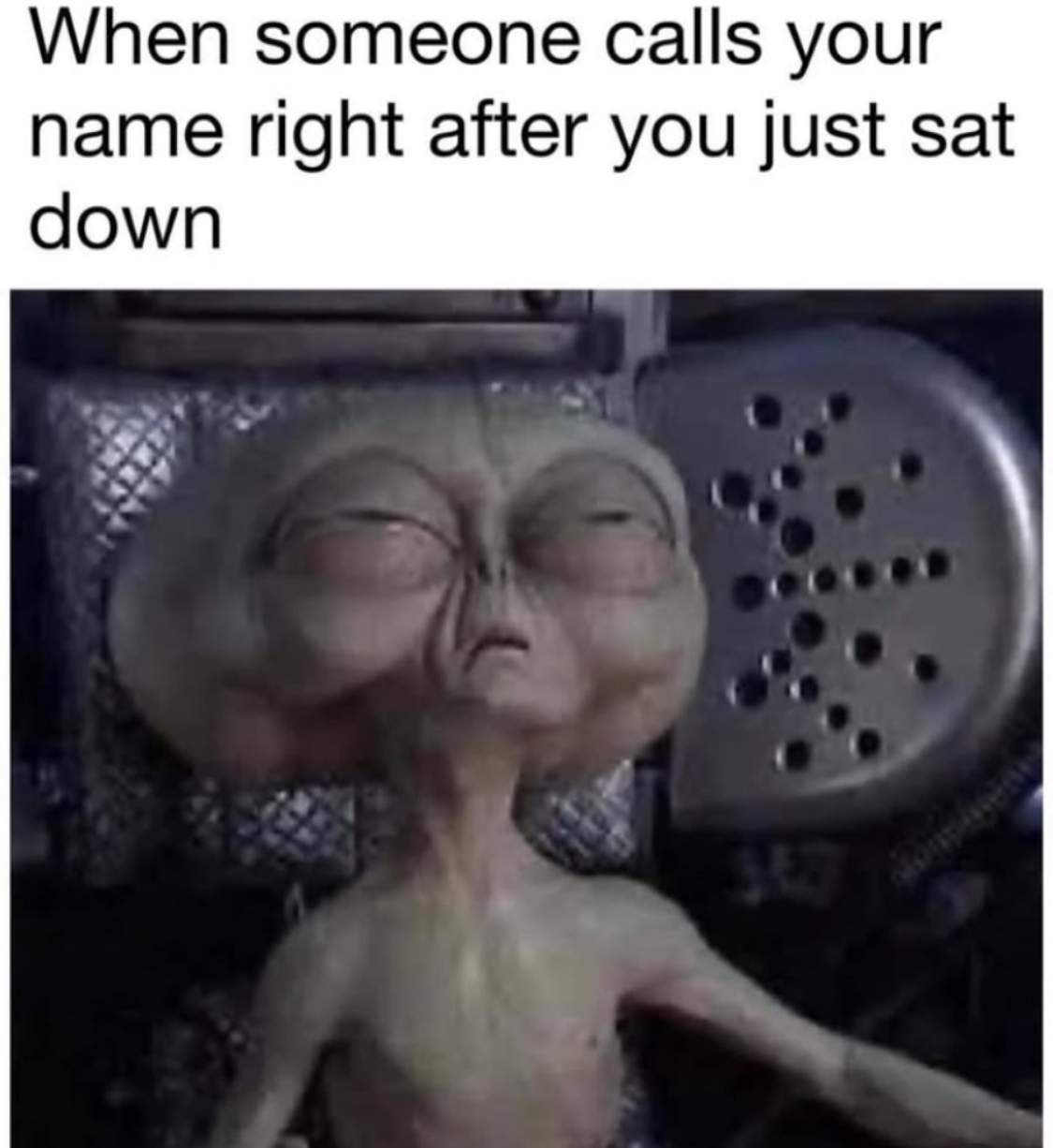 Funny pics and memes (17)