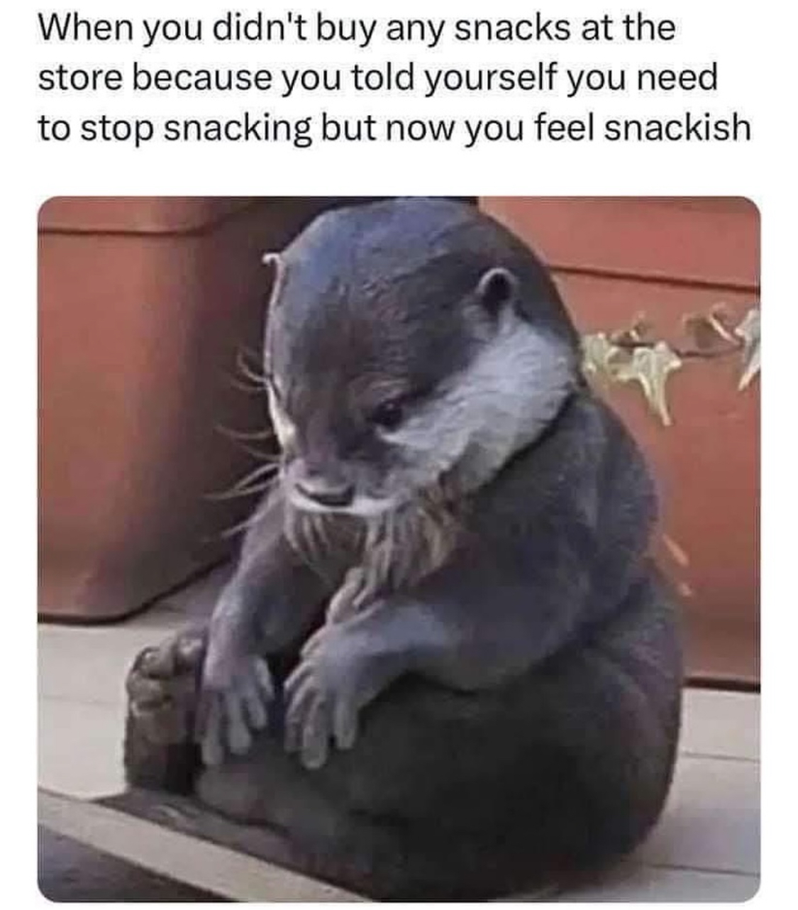 Funny pics and memes (17)